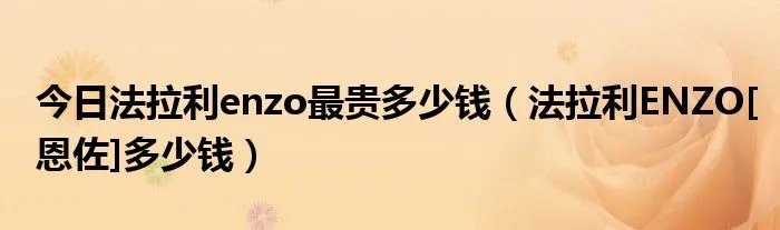 今日法拉利enzo最贵多少钱（法拉利ENZO[恩佐]多少钱）