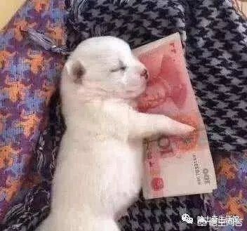 2018年底教师会涨工资吗?如果涨会涨多少?