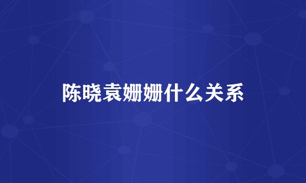 陈晓袁姗姗什么关系