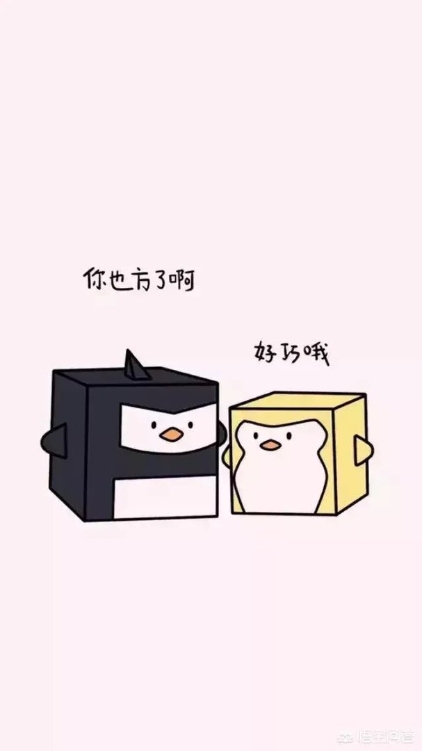 有哪些清新可爱的手机壁纸可以推荐？