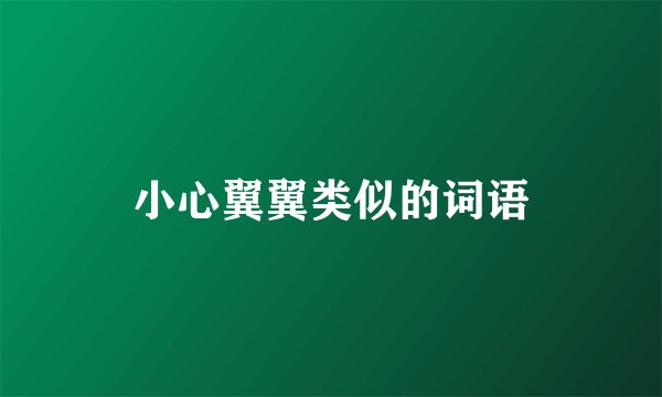 小心翼翼类似的词语