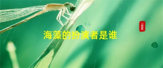 海藻的扮演者是谁