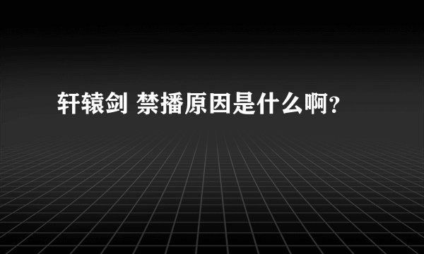 轩辕剑 禁播原因是什么啊？