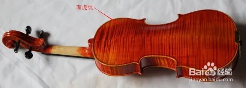 如何选购小提琴?初学者怎样选择小提琴?