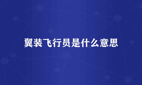 翼装飞行员是什么意思
