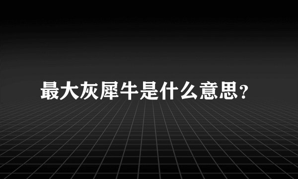 最大灰犀牛是什么意思？