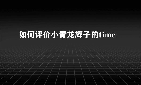 如何评价小青龙辉子的time