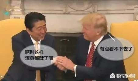 安倍强硬表态不会在中东问题上站队美国,你怎么看?