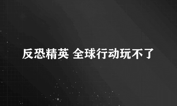 反恐精英 全球行动玩不了