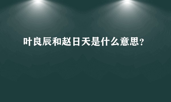 叶良辰和赵日天是什么意思？