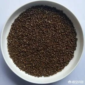 黄连、决明子和密蒙花泡水喝的功效是什么?