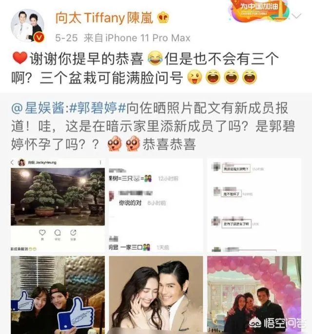 6月17日郭碧婷腹部隆起似皮球被猜测怀孕,为什么明星生子这么多人关注?