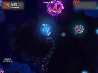 刘庆宁的简介