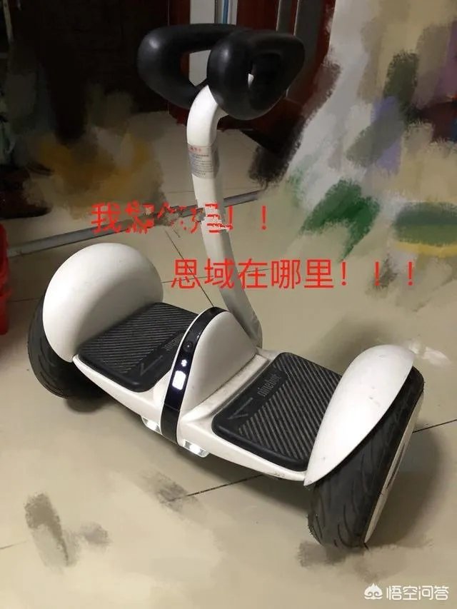 思域是个什么梗?