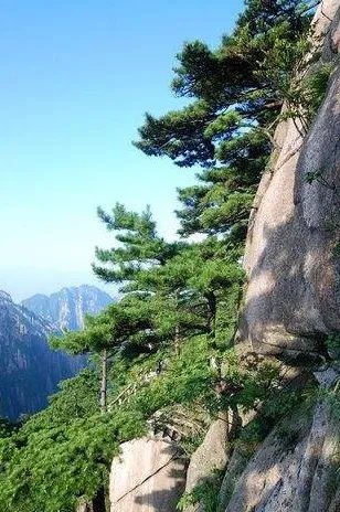 我想报团去旅游,如果不买东西的话,导游会不会骂人?