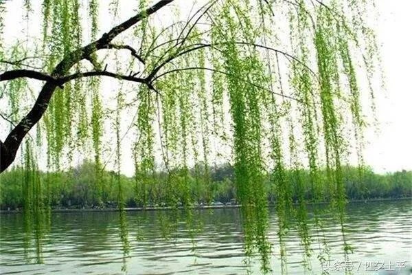 上联:深秋红叶写离歌,一宵千卷恨?