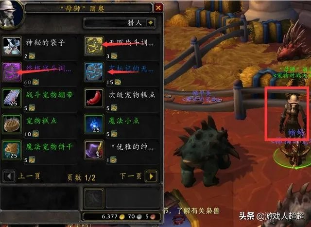 战斗宠物灵猫魔宠厉害吗