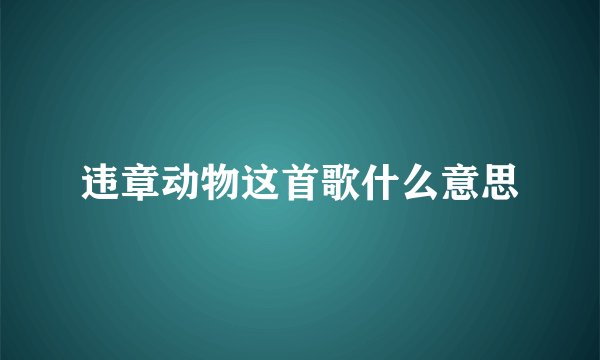 违章动物这首歌什么意思