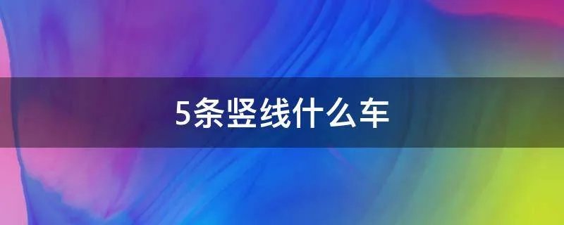 5条竖线什么车