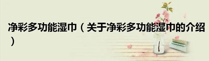 净彩多功能湿巾（关于净彩多功能湿巾的介绍）