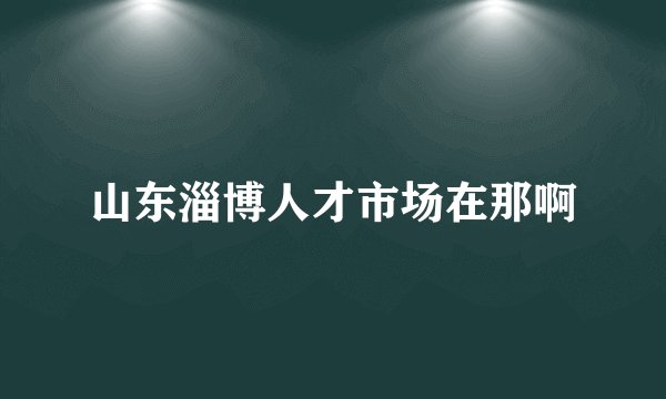 山东淄博人才市场在那啊