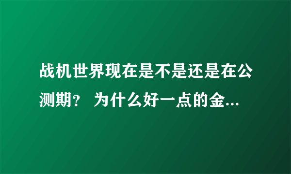 战机世界现在是不是还是在公测期? 为什么好一点的金币飞机都不能买永久的?