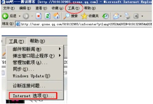 如何将视频下载到电脑上?