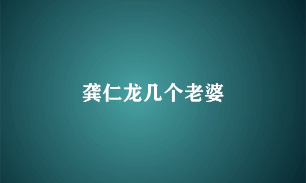 龚仁龙几个老婆
