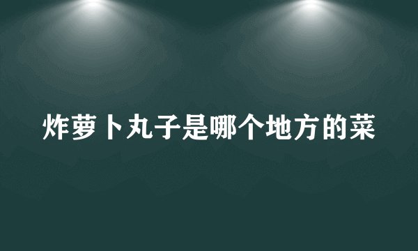 炸萝卜丸子是哪个地方的菜
