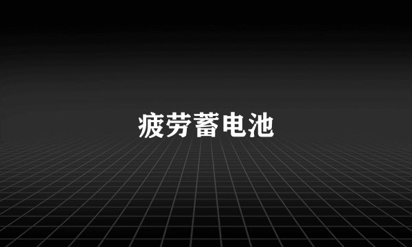 疲劳蓄电池