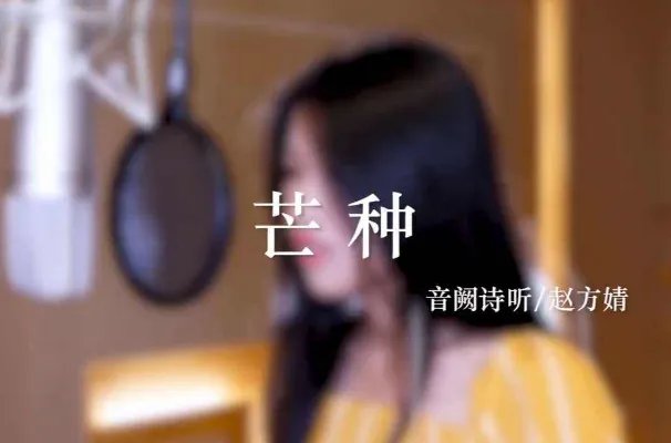 网络十大流行歌曲排行榜:夏天的风上榜,第九乃“治愈神曲”