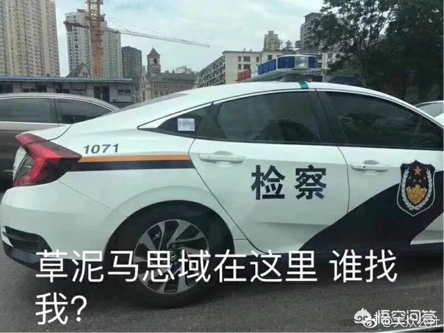 思域是个什么梗?