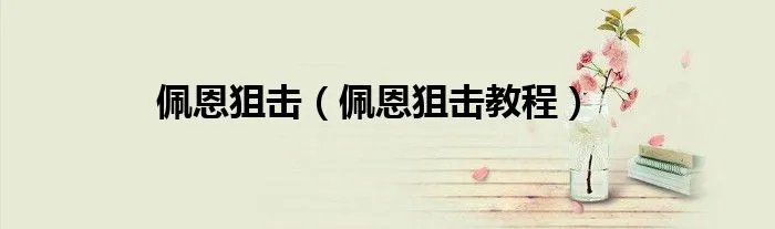 佩恩狙击（佩恩狙击教程）