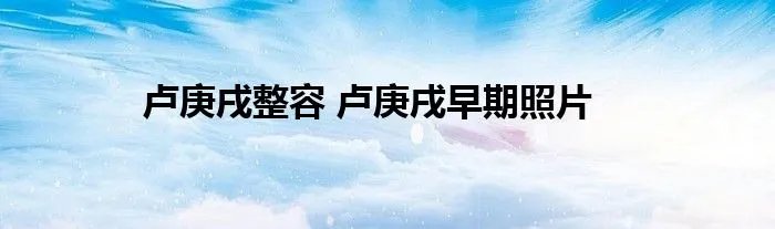 卢庚戌整容 卢庚戌早期照片