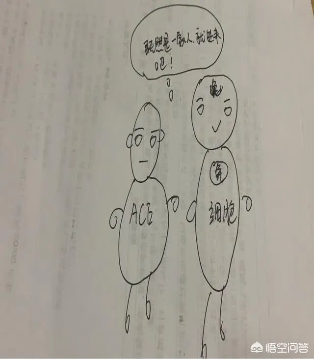 特朗普是否可能感染了新冠肺炎?