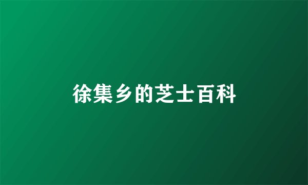 徐集乡的芝士百科