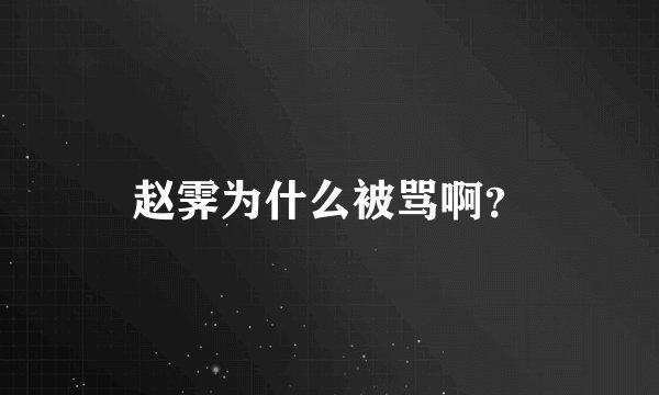 赵霁为什么被骂啊？