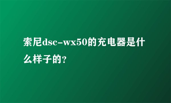 索尼dsc-wx50的充电器是什么样子的？