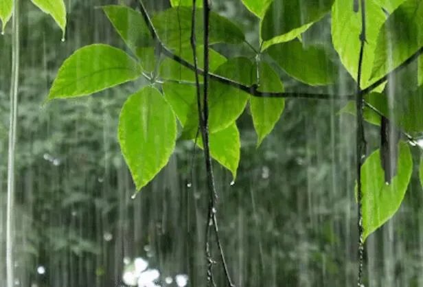 小区暴雨中倒下一堵墙维修费129万 小区业主：这也太离谱了！