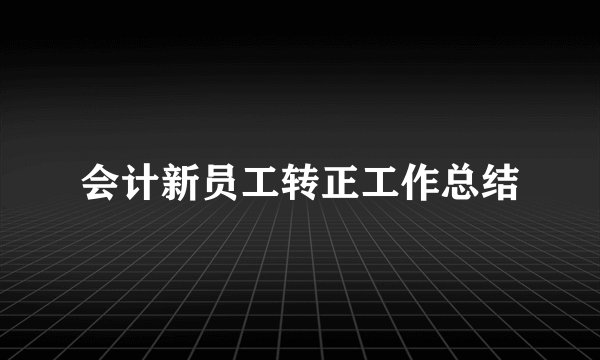 会计新员工转正工作总结