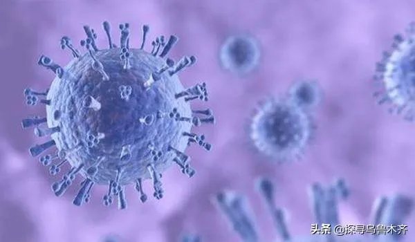 2020年夏天乌鲁木齐疫情源头