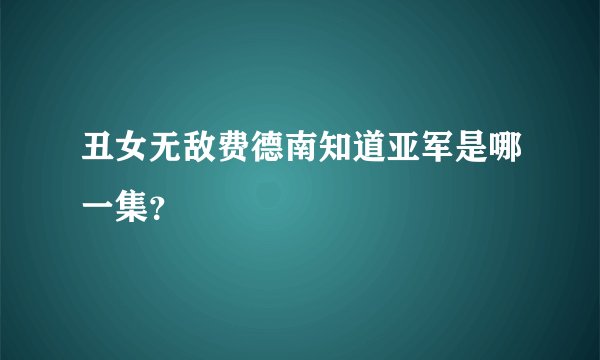 丑女无敌费德南知道亚军是哪一集？