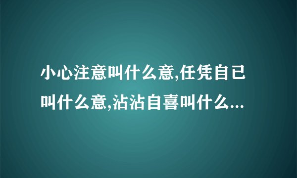 小心注意叫什么意,任凭自已叫什么意,沾沾自喜叫什么意,任意忘为叫什么意,心情爽快叫什么意,心术不正叫什么意?