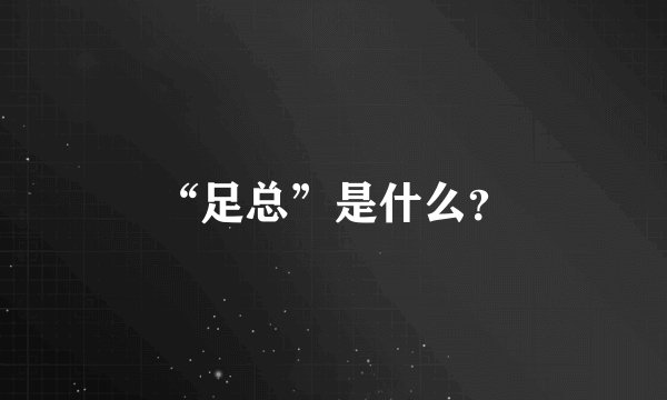 “足总”是什么？