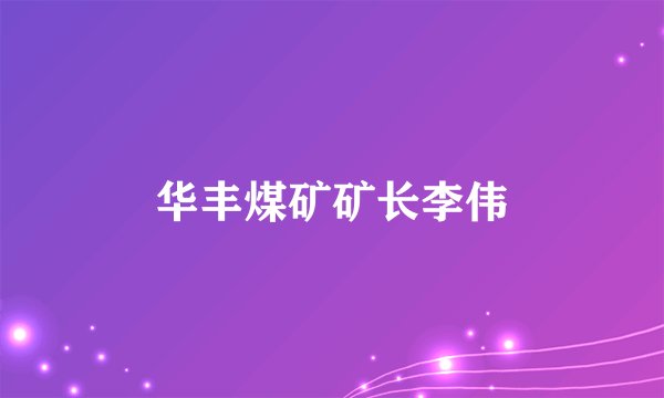华丰煤矿矿长李伟