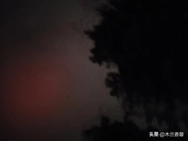 生活摄影艺术