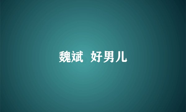 魏斌  好男儿