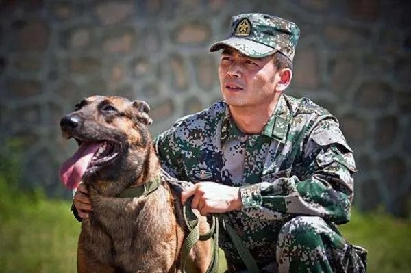 奇兵神犬什么时候在卫视播出时间