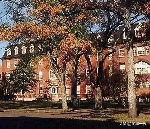 加拿大是一个什么类型的国家,为什么感觉在新闻上经常看不到?