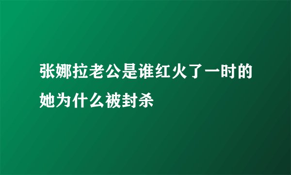 张娜拉老公是谁红火了一时的她为什么被封杀